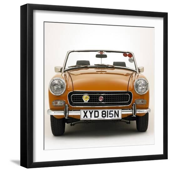 Photographic Print, , large