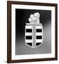 1976 Dodge Aspen & Colt Logo-null-Framed Art Print