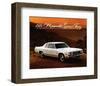 1976 Plymouth Gran Fury-null-Framed Premium Giclee Print