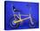 1976 Raleigh Chopper bicycle-null-Stretched Canvas