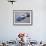 1977 Elf Tyrrell P34-null-Framed Photographic Print displayed on a wall