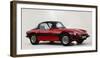 1977 TVR 3000M-null-Framed Photographic Print