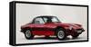 1977 TVR 3000M-null-Framed Stretched Canvas