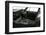 1977 TVR 3000M-null-Framed Premium Photographic Print