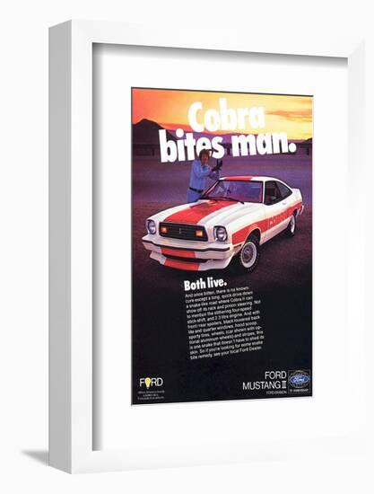 1978 Mustang - Cobra Bites Man-null-Framed Art Print