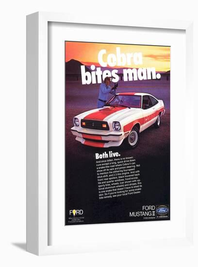 1978 Mustang - Cobra Bites Man-null-Framed Art Print