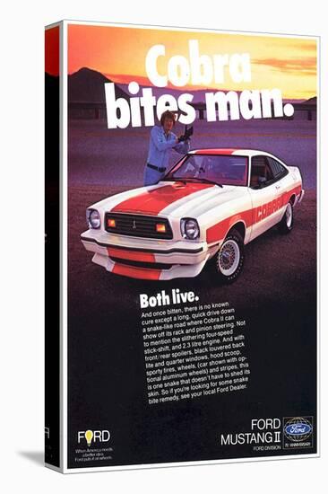 1978 Mustang - Cobra Bites Man-null-Stretched Canvas