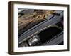 1978 Pontiac Trans Am-Clive Branson-Framed Photo