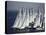 1978 World Championship Etchall Races, Newport Beach, California, USA-null-Stretched Canvas