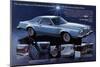 1978Thunderbird Jubilee Edition-null-Mounted Art Print