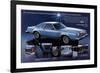 1978Thunderbird Jubilee Edition-null-Framed Art Print