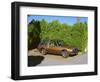 1979 AMC Pacer-null-Framed Photographic Print