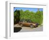 1979 AMC Pacer-null-Framed Photographic Print