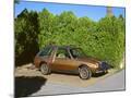 Wood Mount