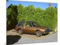 Wood Mount
