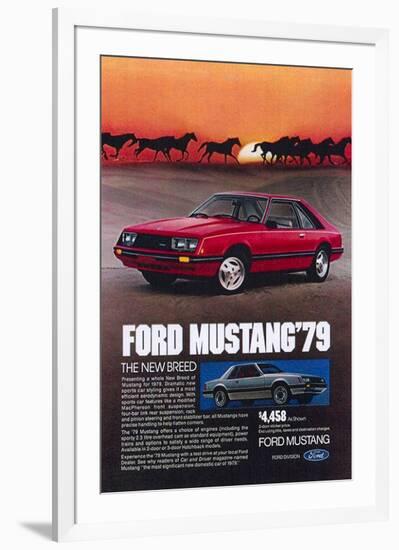 1979 Mustang - New Breed-null-Framed Premium Giclee Print