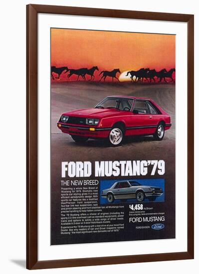 1979 Mustang - New Breed-null-Framed Premium Giclee Print