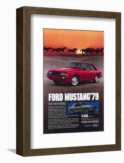 1979 Mustang - New Breed-null-Framed Art Print