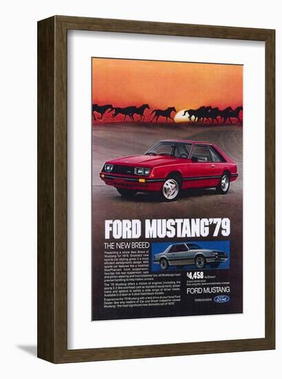 1979 Mustang - New Breed-null-Framed Art Print