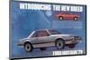 1979 Mustang Sport Car Styling-null-Mounted Art Print