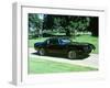 1979 Pontiac Firebird Trans Am-null-Framed Photographic Print