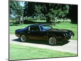 1979 Pontiac Firebird Trans Am-null-Mounted Photographic Print