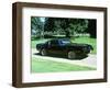 1979 Pontiac Firebird Trans Am-null-Framed Photographic Print