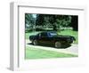 1979 Pontiac Firebird Trans Am-null-Framed Photographic Print