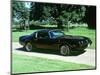 1979 Pontiac Firebird Trans Am-null-Mounted Photographic Print