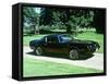 1979 Pontiac Firebird Trans Am-null-Framed Stretched Canvas