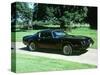 1979 Pontiac Firebird Trans Am-null-Stretched Canvas