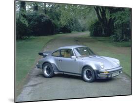 1979 Porsche 911 Turbo-null-Mounted Photographic Print