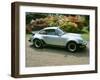 1979 Porsche 911 Turbo-null-Framed Photographic Print