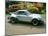 1979 Porsche 911 Turbo-null-Mounted Photographic Print