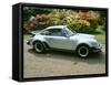 1979 Porsche 911 Turbo-null-Framed Stretched Canvas