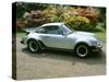 1979 Porsche 911 Turbo-null-Stretched Canvas