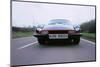 1979 TVR Taimar-null-Mounted Photographic Print