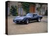 1980 Chevrolet Corvette Stingray-null-Stretched Canvas