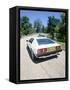 1980 Lotus Esprit S2-null-Framed Stretched Canvas