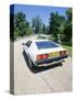 1980 Lotus Esprit S2-null-Stretched Canvas