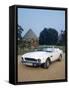 1981 Aston Martin Volante V8-null-Framed Stretched Canvas