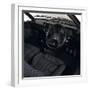 1983 Lancia Beta Volumex-null-Framed Photographic Print