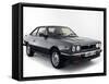 1983 Lancia Beta Volumex-null-Framed Stretched Canvas