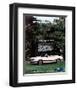 1983 Mustang More Convertible-null-Framed Art Print