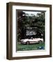 1983 Mustang More Convertible-null-Framed Art Print