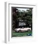 1983 Mustang More Convertible-null-Framed Art Print