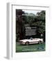 1983 Mustang More Convertible-null-Framed Art Print