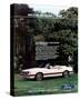 1983 Mustang More Convertible-null-Stretched Canvas