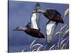 1984 Black Ducks-Wilhelm Goebel-Stretched Canvas