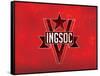 1984 INGSOC Big Brother Political  Flag Poster-null-Framed Stretched Canvas